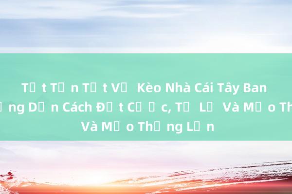 Tất Tần Tật Về Kèo Nhà Cái Tây Ban Nha_ Hướng Dẫn Cách Đặt Cược, Tỷ Lệ Và Mẹo Thắng Lớn