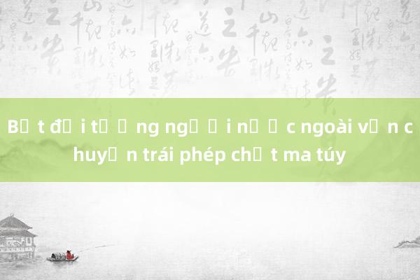 Bắt đối tượng người nước ngoài vận chuyển trái phép chất ma túy