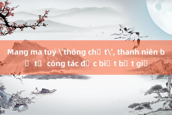 Mang ma tuý 'thông chốt'， thanh niên bị tổ công tác đặc biệt bắt giữ