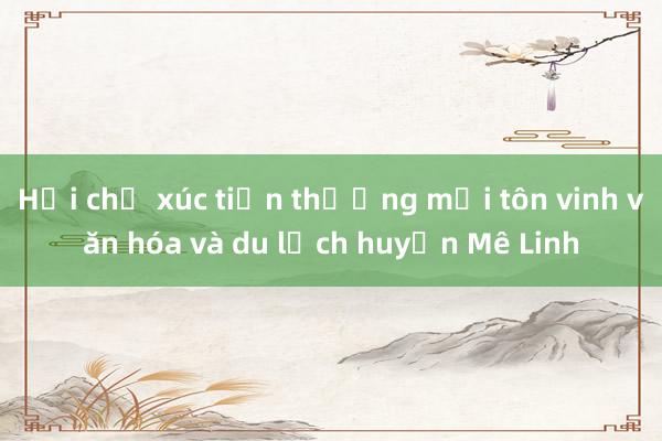 Hội chợ xúc tiến thương mại tôn vinh văn hóa và du lịch huyện Mê Linh