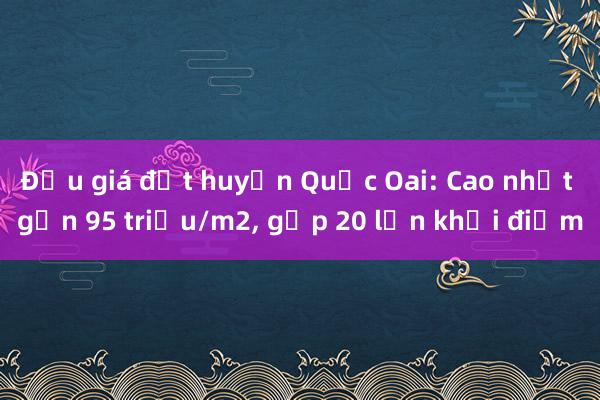 Đấu giá đất huyện Quốc Oai: Cao nhất gần 95 triệu/m2， gấp 20 lần khởi điểm