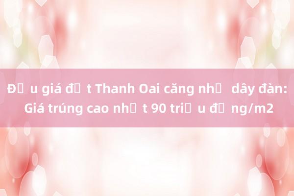 Đấu giá đất Thanh Oai căng như dây đàn: Giá trúng cao nhất 90 triệu đồng/m2